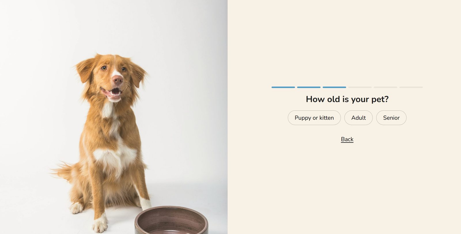 A pet food quiz question about the pet's age